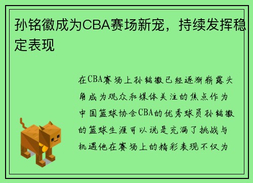 孙铭徽成为CBA赛场新宠，持续发挥稳定表现